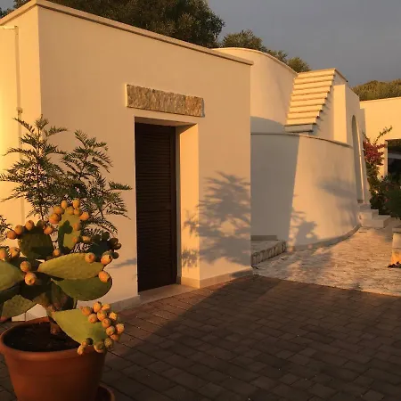 Il Quieto Uliveto Feriehus
