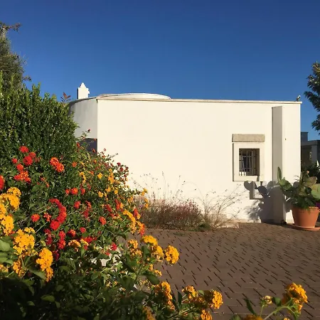 Il Quieto Uliveto Feriehus