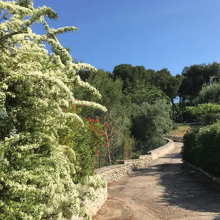 Feriehus Il Quieto Uliveto *