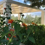 Tatil Evi Il Quieto Uliveto Ostuni