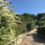 Tatil Evi Il Quieto Uliveto *