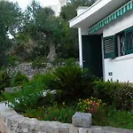 Il Quieto Uliveto Tatil Evi