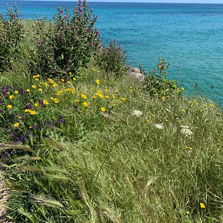 Il Quieto Uliveto Σπίτι διακοπών