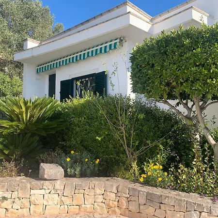 Ferienhaus Il Quieto Uliveto