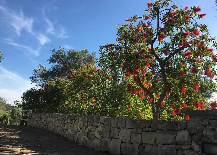 Vakantiehuis Il Quieto Uliveto Ostuni