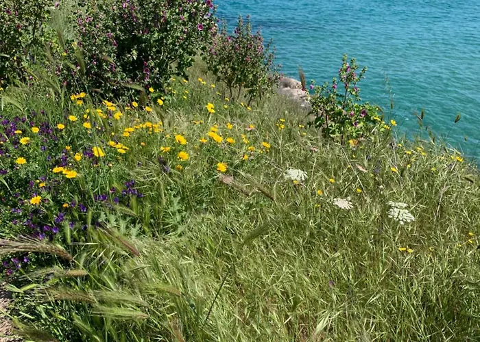 Il Quieto Uliveto Casa vacanze